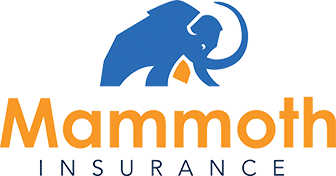 Mammoth Insurance