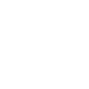Auto / Car Insurance